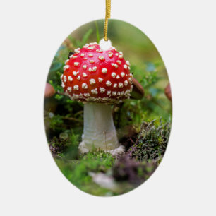 Autumn Beauty Ceramic Tree Decoration