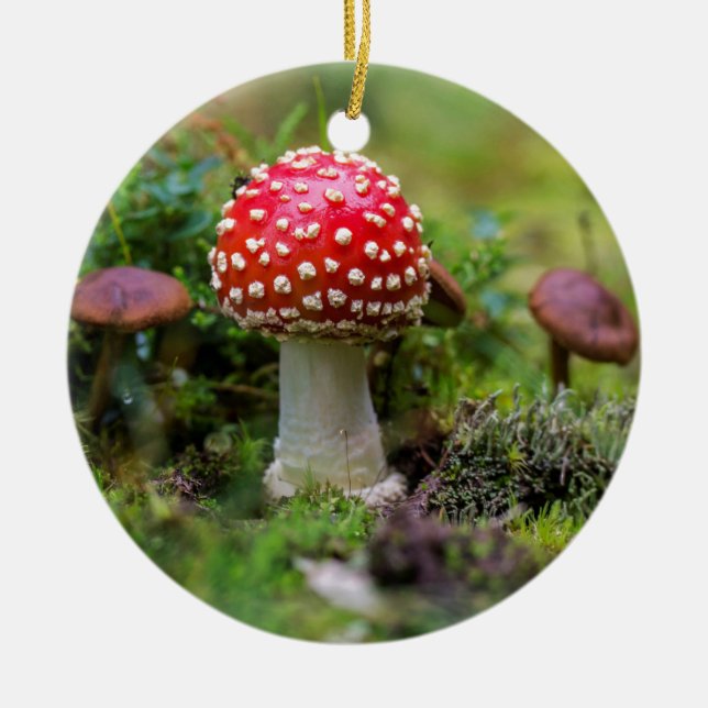 Autumn Beauty Ceramic Tree Decoration (Front)