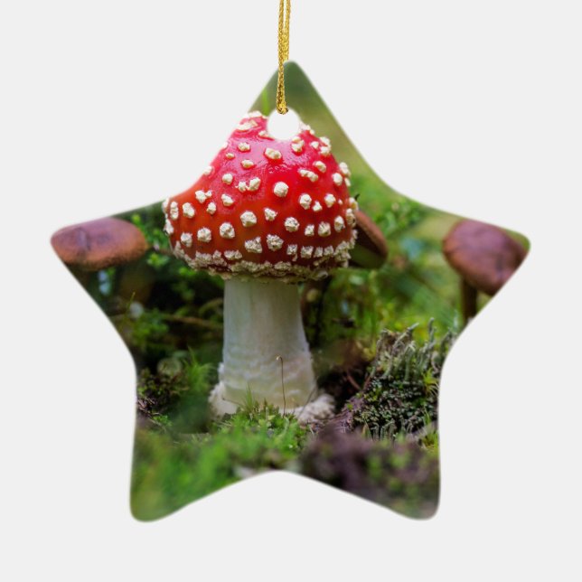 Autumn Beauty Ceramic Tree Decoration (Front)