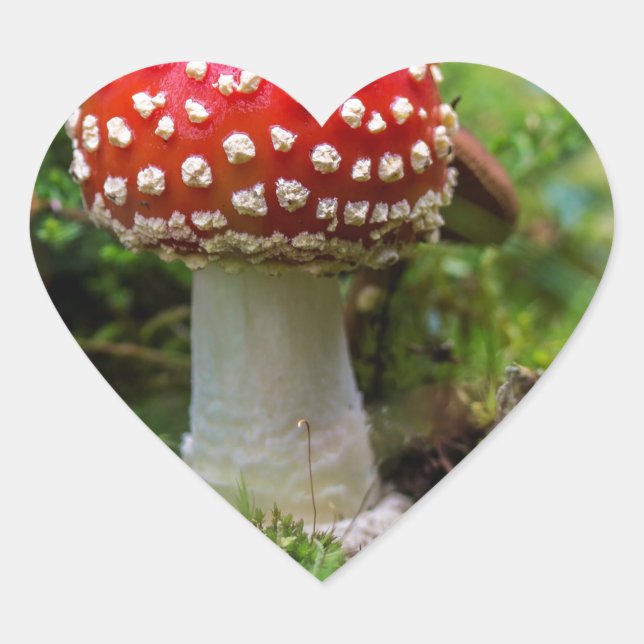 Autumn Beauty Heart Sticker (Front)