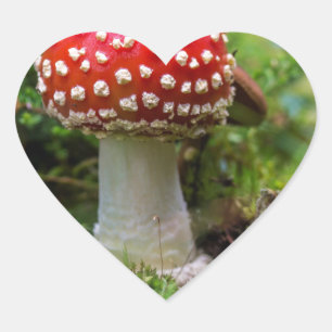 Autumn Beauty Heart Sticker