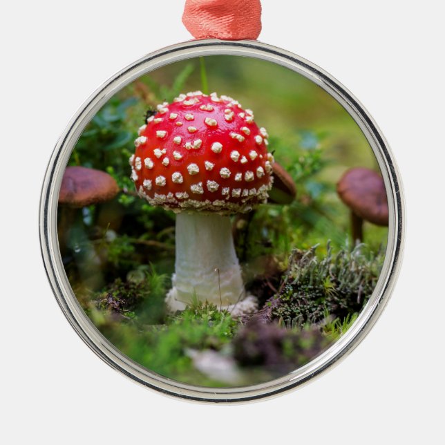 Autumn Beauty Metal Tree Decoration (Front)