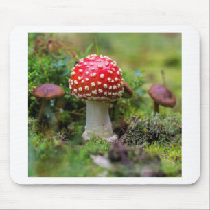 Autumn Beauty Mouse Mat