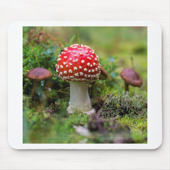 Autumn Beauty Mouse Mat (Front)