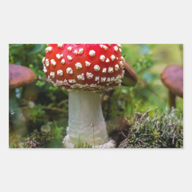 Autumn Beauty Rectangular Sticker (Front)