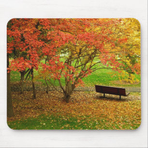 Autumn Bench Mouse Mat
