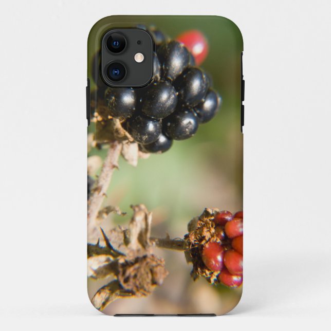 Autumn Berries Case-Mate iPhone Case (Back)