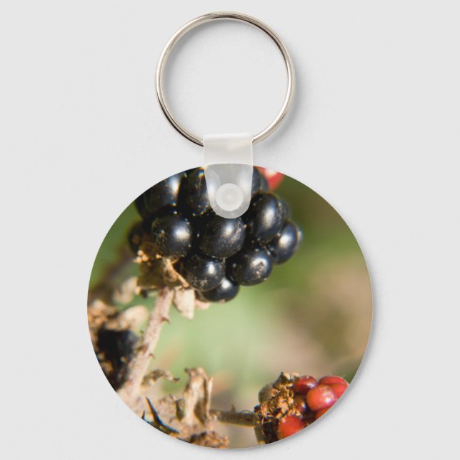 Autumn Berries Key Ring (Front)