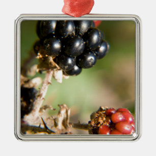 Autumn Berries Metal Tree Decoration