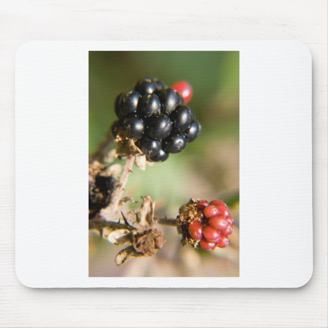 Autumn Berries Mouse Mat (Front)