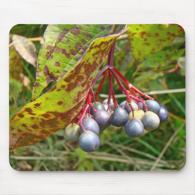Autumn Berries Mouse Mat (Front)