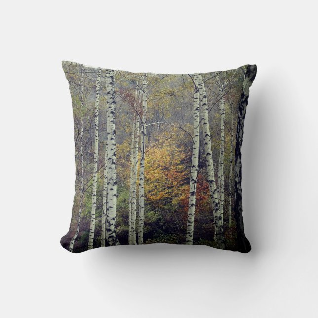 Autumn Birch Forrest  Photo Throw Cushion (Front)