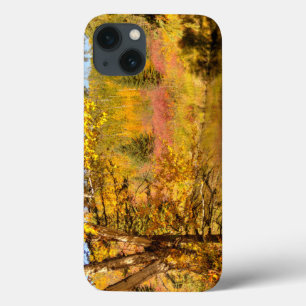 Autumn Birch Tree iPhone 13 Case
