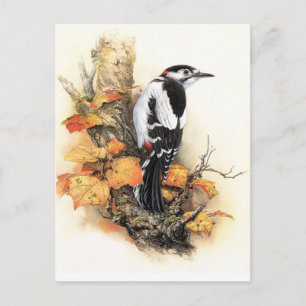 Autumn Bird Postcard