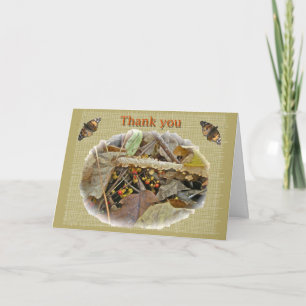 Autumn Bittersweet Vine Thank You Card