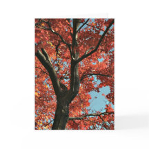 AUTUMN (blank card)