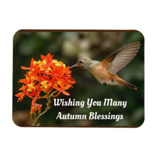 Autumn Blessings Hummingbird Flexible Magnet