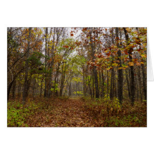 Autumn Bliss