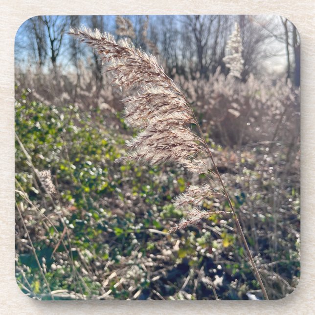 Autumn bliss.. coaster (Front)