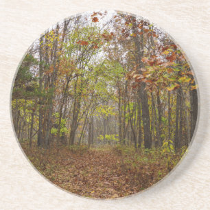 Autumn Bliss Coaster