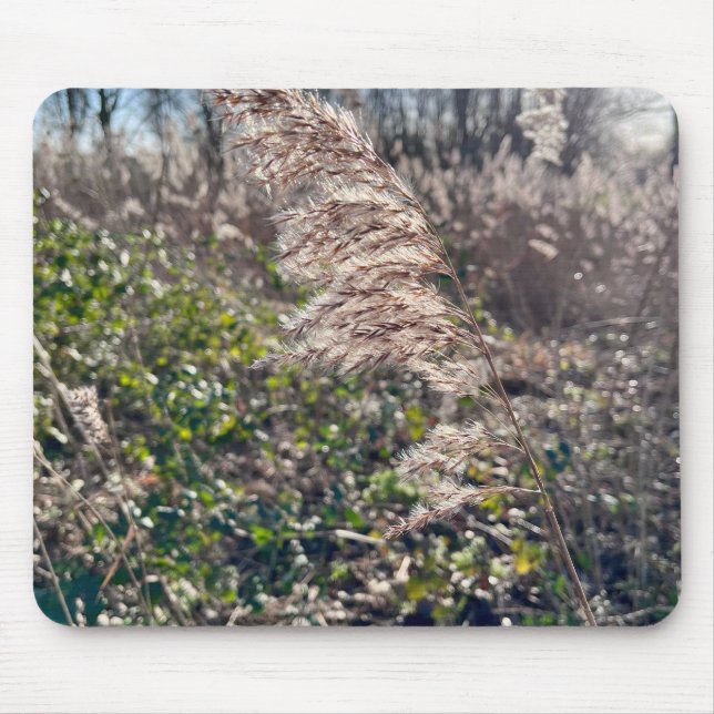 Autumn bliss.. mouse mat (Front)