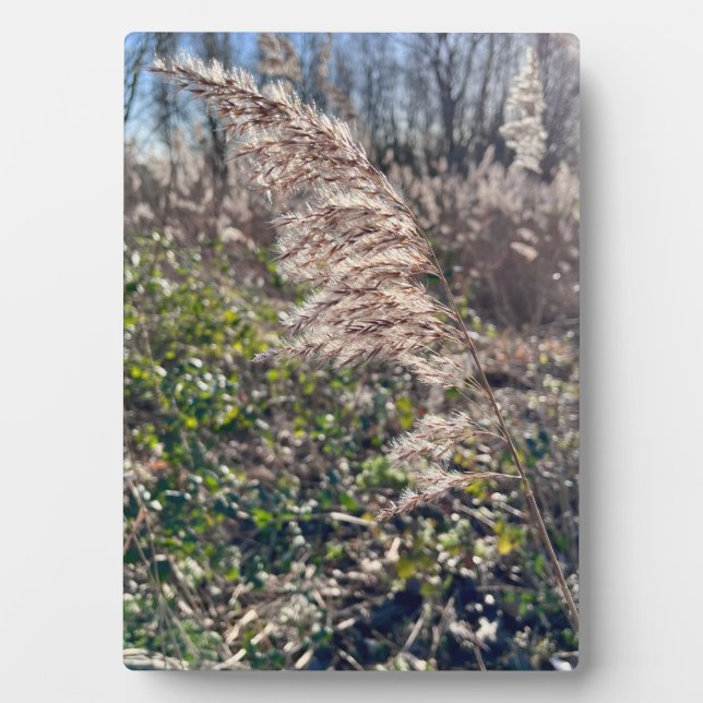 Autumn bliss.. plaque (Front)