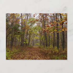 Autumn Bliss Postcard