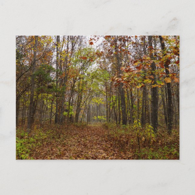 Autumn Bliss Postcard (Front)