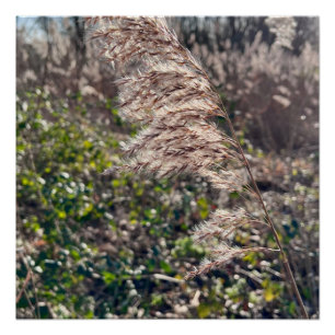 Autumn bliss.. poster