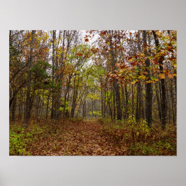 Autumn Bliss Poster (Front)