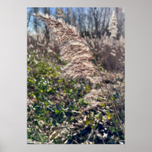 Autumn bliss.. poster