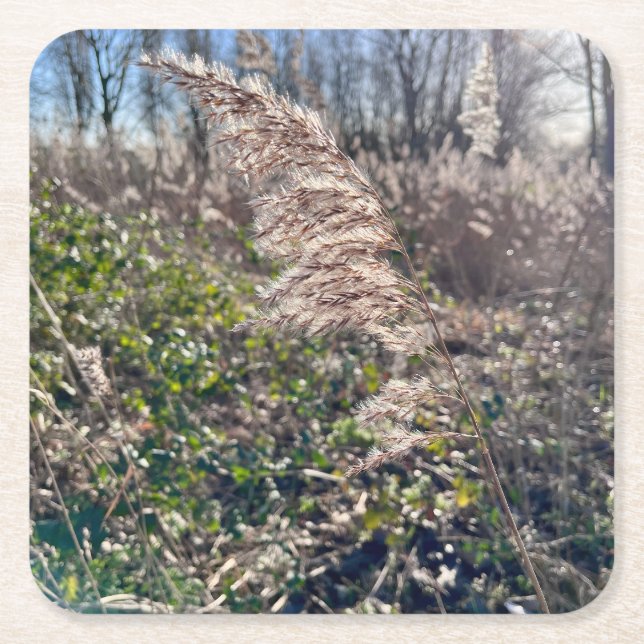 Autumn bliss.. square paper coaster (Front)