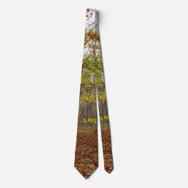 Autumn Bliss Tie (Front)