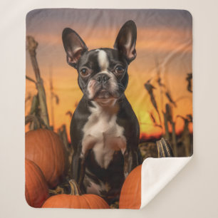 Autumn Boston Terrier Sherpa Blanket
