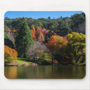 Autumn Botanical Garden Colourful Trees Mouse Mat