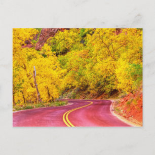 Autumn Boulevard Postcard