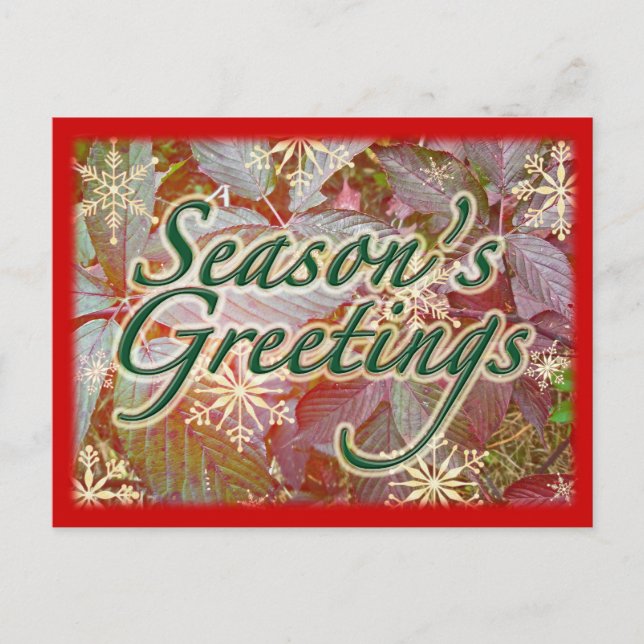 Autumn Brambles Holiday Season Items Postcard (Front)