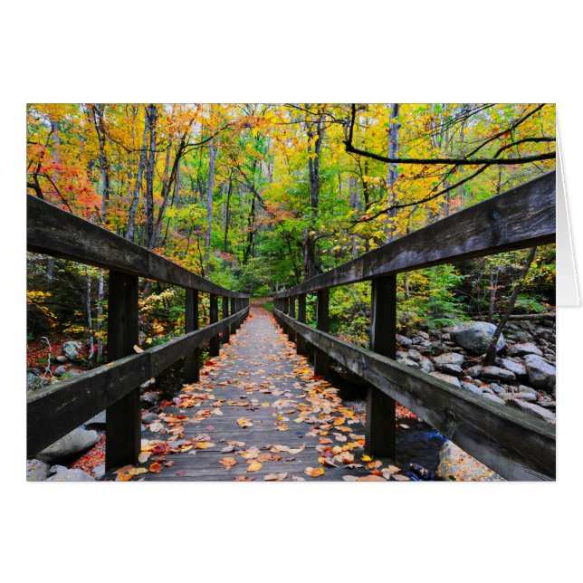 Autumn Bridge (Front Horizontal)