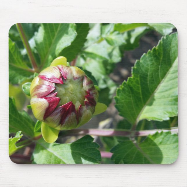 autumn bud mouse mat (Front)