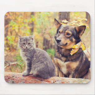 Autumn Buddies: Gray Kitten and Happy Puppy Mouse Mat
