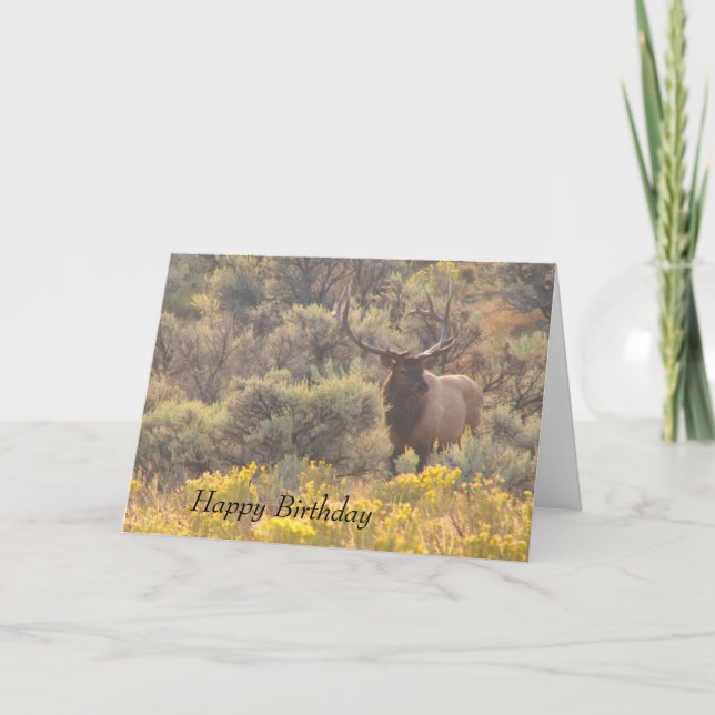 Autumn Bull Elk Custom Happy Birthday Card (Front)