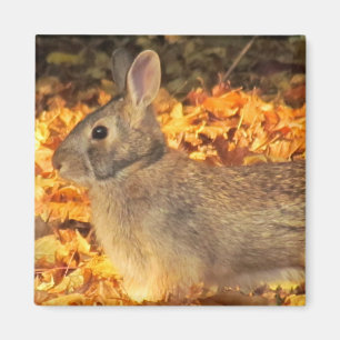 Autumn Bunny Magnet