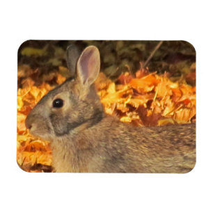 Autumn Bunny Magnet