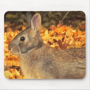 Autumn Bunny Mouse Mat