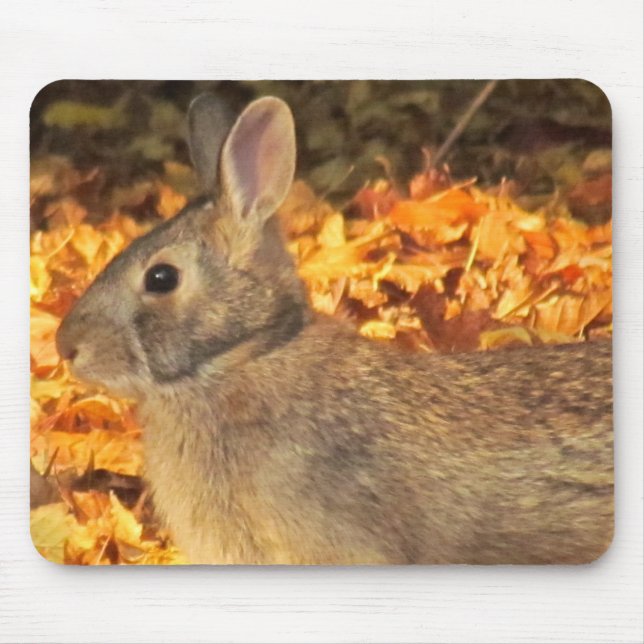 Autumn Bunny Mouse Mat (Front)
