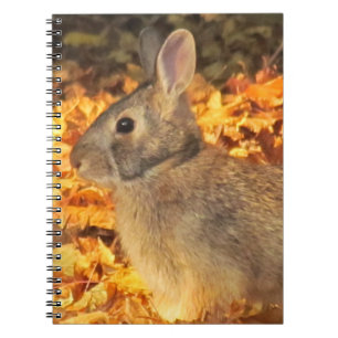 Autumn Bunny Notebook