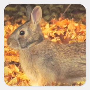 Autumn Bunny Square Sticker
