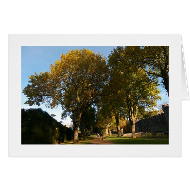 Autumn, Bute Park, Cardiff (Bordered) (Front Horizontal)