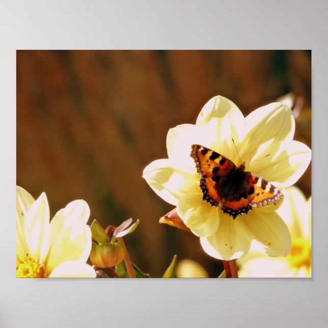 Autumn Butterfly Poster (Front)