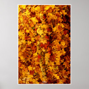 Autumn by Johannes Stötter Poster